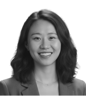 Meng Lei, Principal, Credit